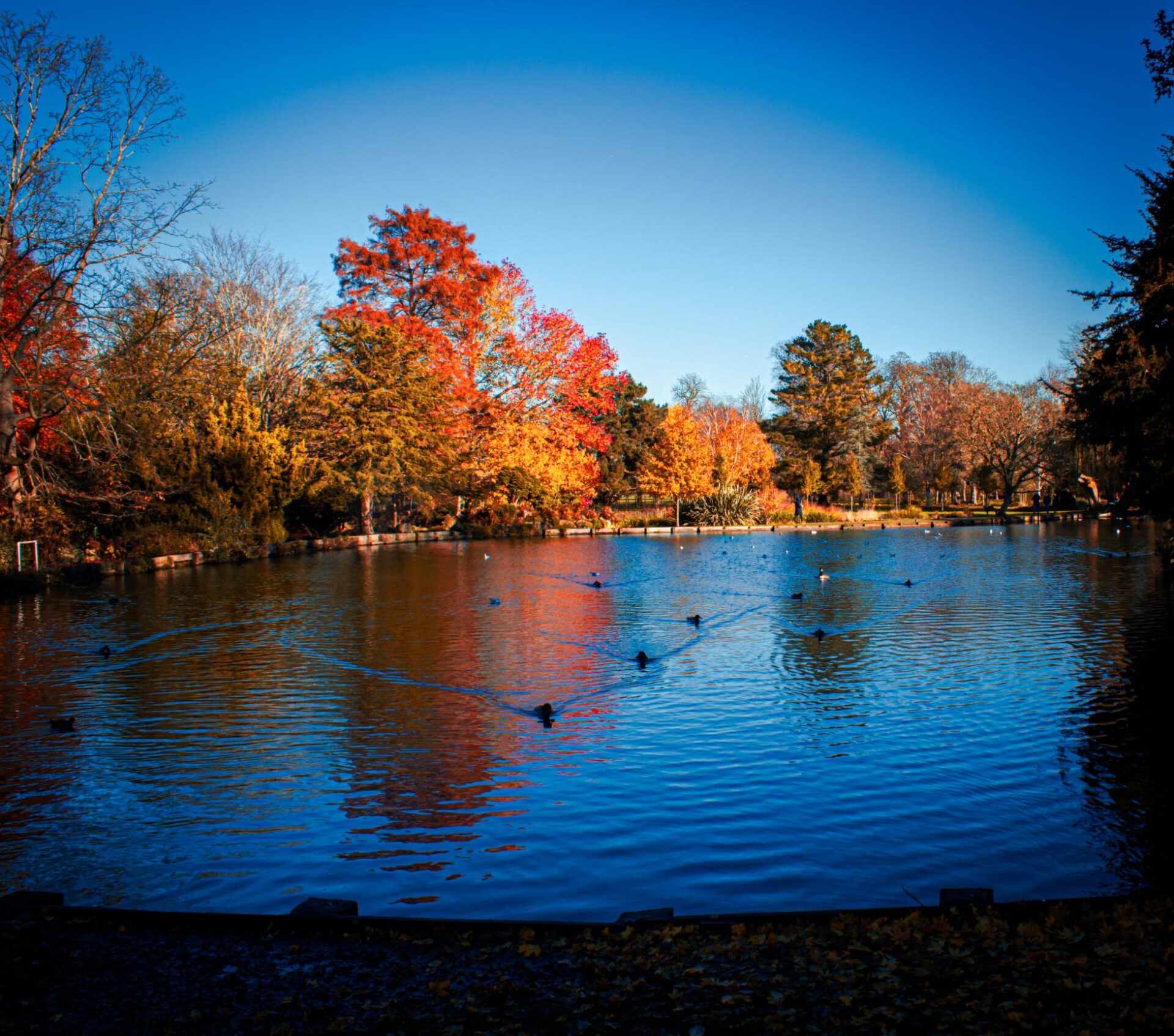 About Sutton Surrey Sutton